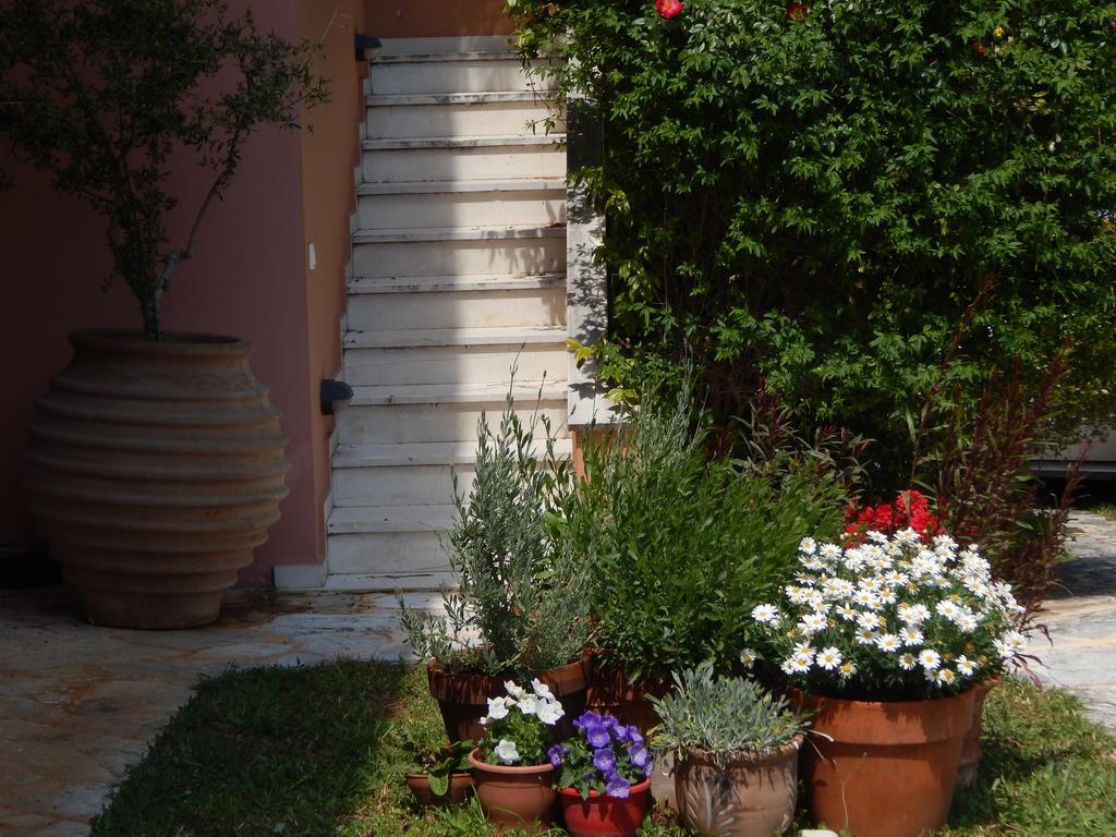 Slow Living Beautiful Villa Rafína Exterior photo
